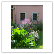 Rosafarbenes Haus mit üppigen Blumenkästen am Eingang